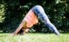 Yoga for IBS - from Centre to Periphery